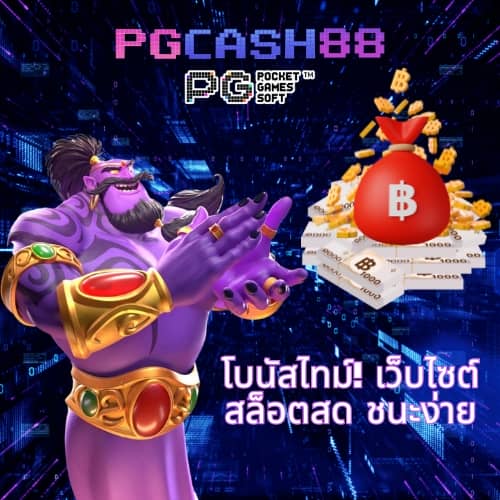 cat888หวยvip